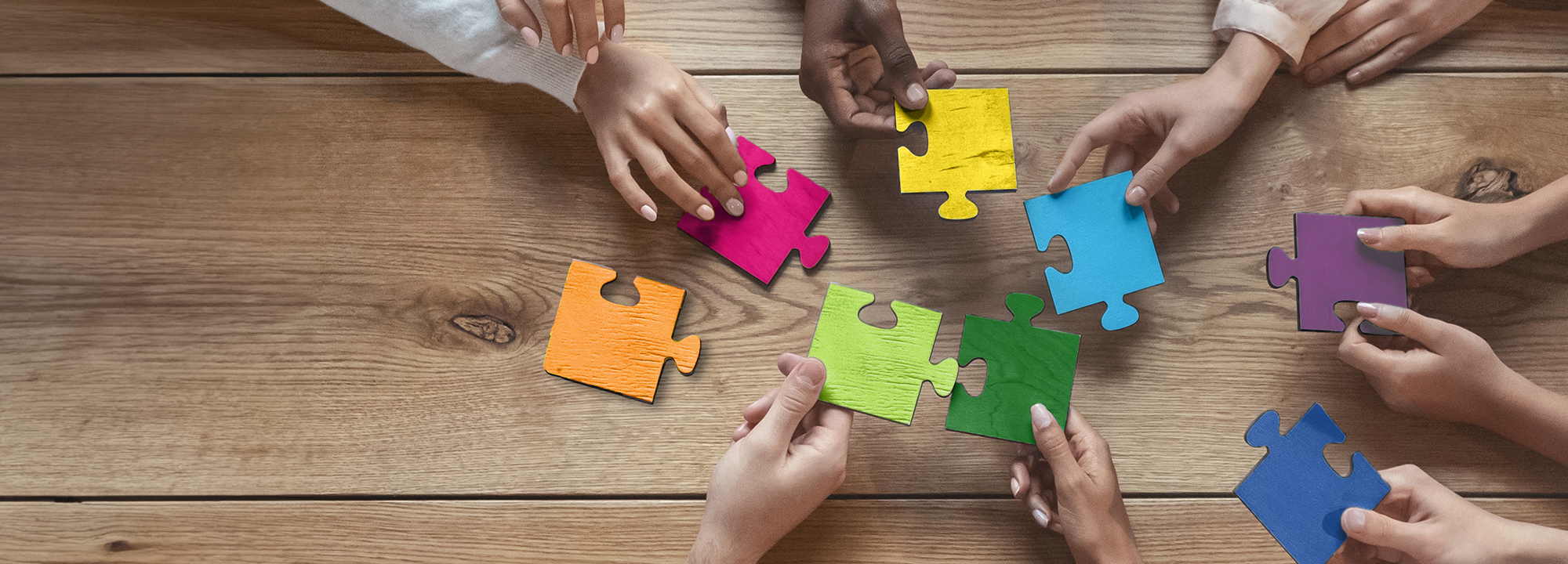 TMS_header-blog_8-gruende-teamentwicklung